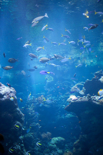Academy of Sciences