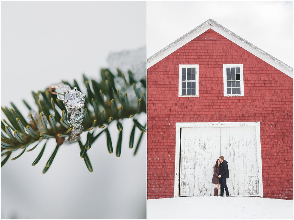 engagement, proposal, winter proposal, couple, new england, engagement ring, christmas tree farm, new hampshire, new england wedding photographer, diamonds, diamond ring, red barn, rustic, marriage, wedding, engagement photography, snow, new hampshire engagement photographer, new hampshire proposal photographer
