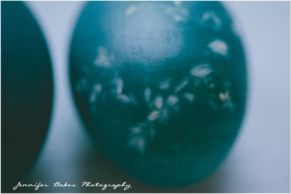 eggs, white eggs, farm eggs, eggs for dying, easter eggs, easter crafts, easter, natural egg dying, natural dye, colors, colorful crafts, natural crafts, diy, do it yourself, home made, fun, food photography, new england food photographer, new england photographer, natural dyed linens, how to, tutorial,