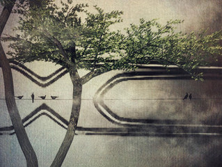 Sustainability VII: The Park