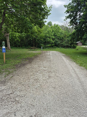 SIte 4 Pierce .jpg