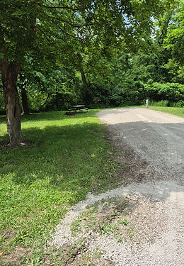 Site 15 Pierce .jpg