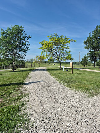 Site 2 and 3 Equ.jpg