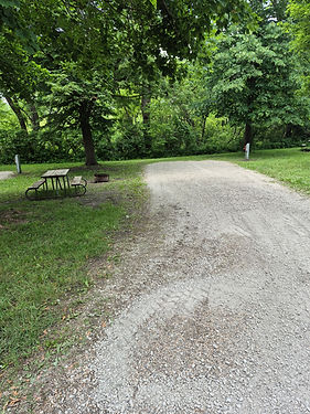 Site 14 Pierce .jpg
