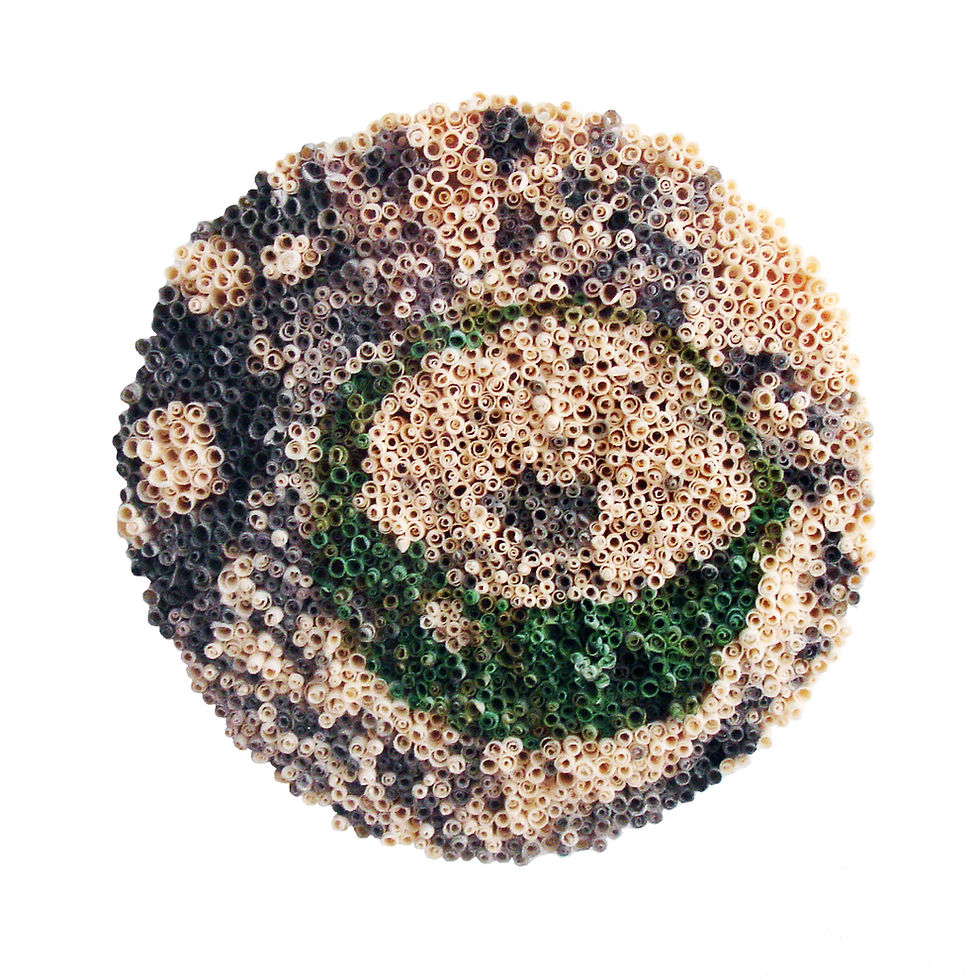 Serie, Espacios Íntimos I