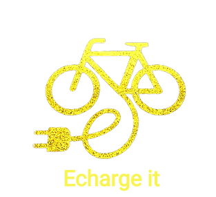 Echarge it Home Pic