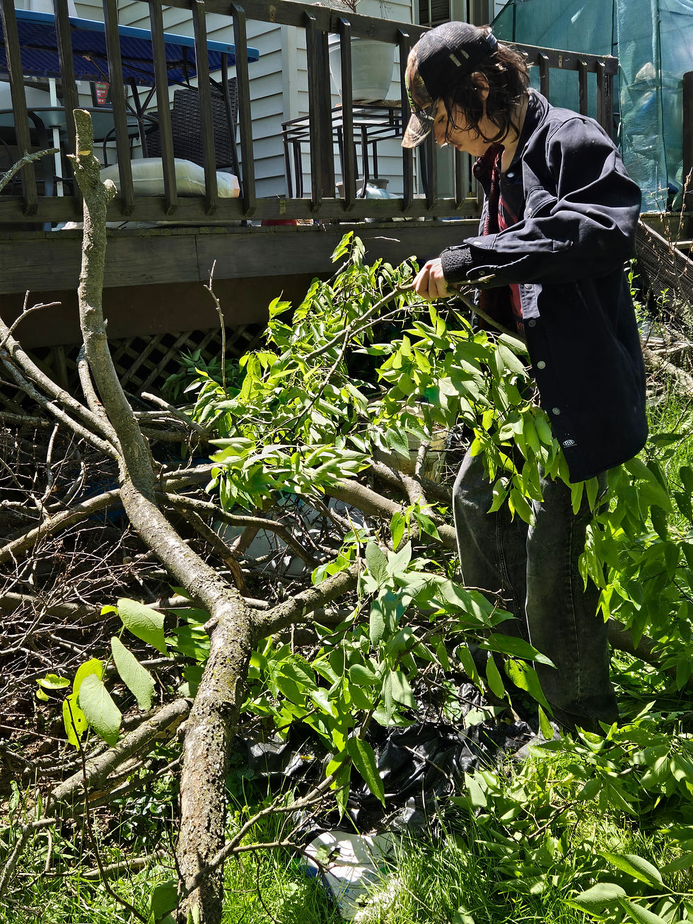 Home maintenance worker clearing brush and tree branches.