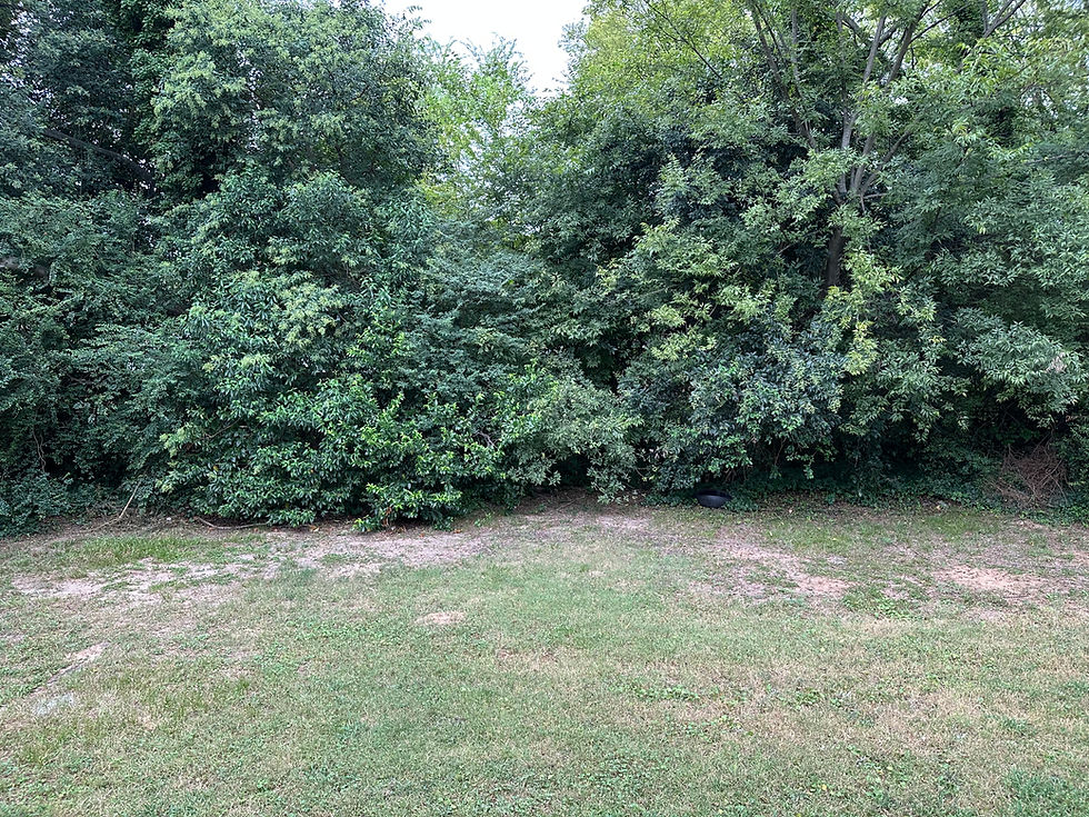 IMG_4815.jpeg