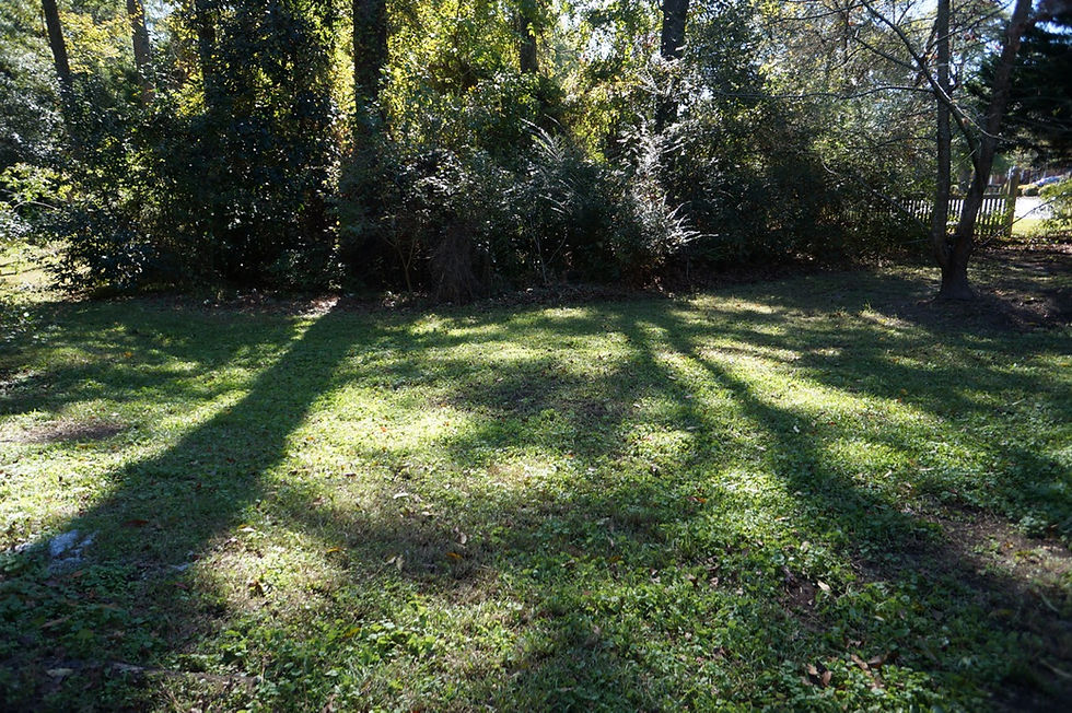 DSC03531.jpg