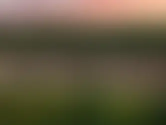 Rental Property Somerset KY