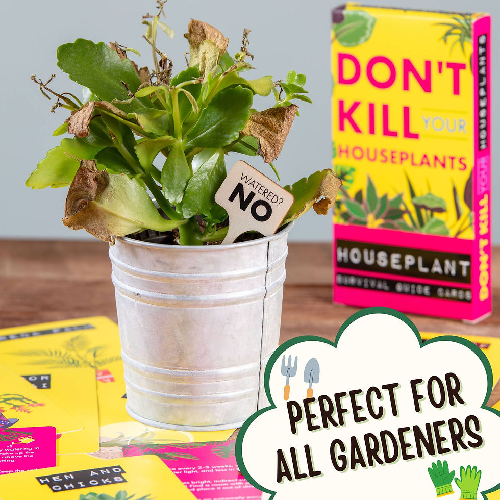 Thumbnail: Don't Kill Your Houseplants Care Guide - Plant Gifts