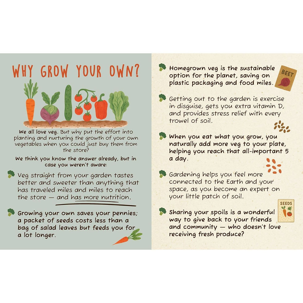 Thumbnail: The Dirt On Veg Gardening Book – Beginner’S Veg Garden Guide