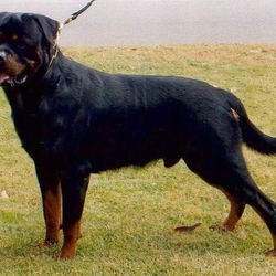 2018-03-01 15.10.06-6