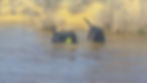 T n C river3