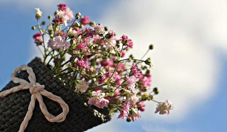 preserve flowers with smart techniques