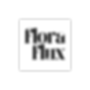 Wild Amber Logo and Signature.png