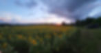 20220826_194843.jpg
