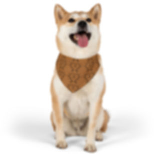 Pet Collar BANDANA — Hunt Camp Antler