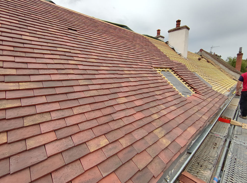 IMG_20220425_142956 MODIF