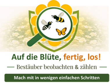Auf die Blüte, fertig, los!