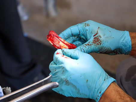 Case Study: Large Tooth Abscess in a young horse