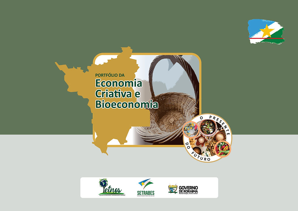 PORTIFÓLIO DA ECONOMIA CRIATIVA E BIOECONOMIA-1