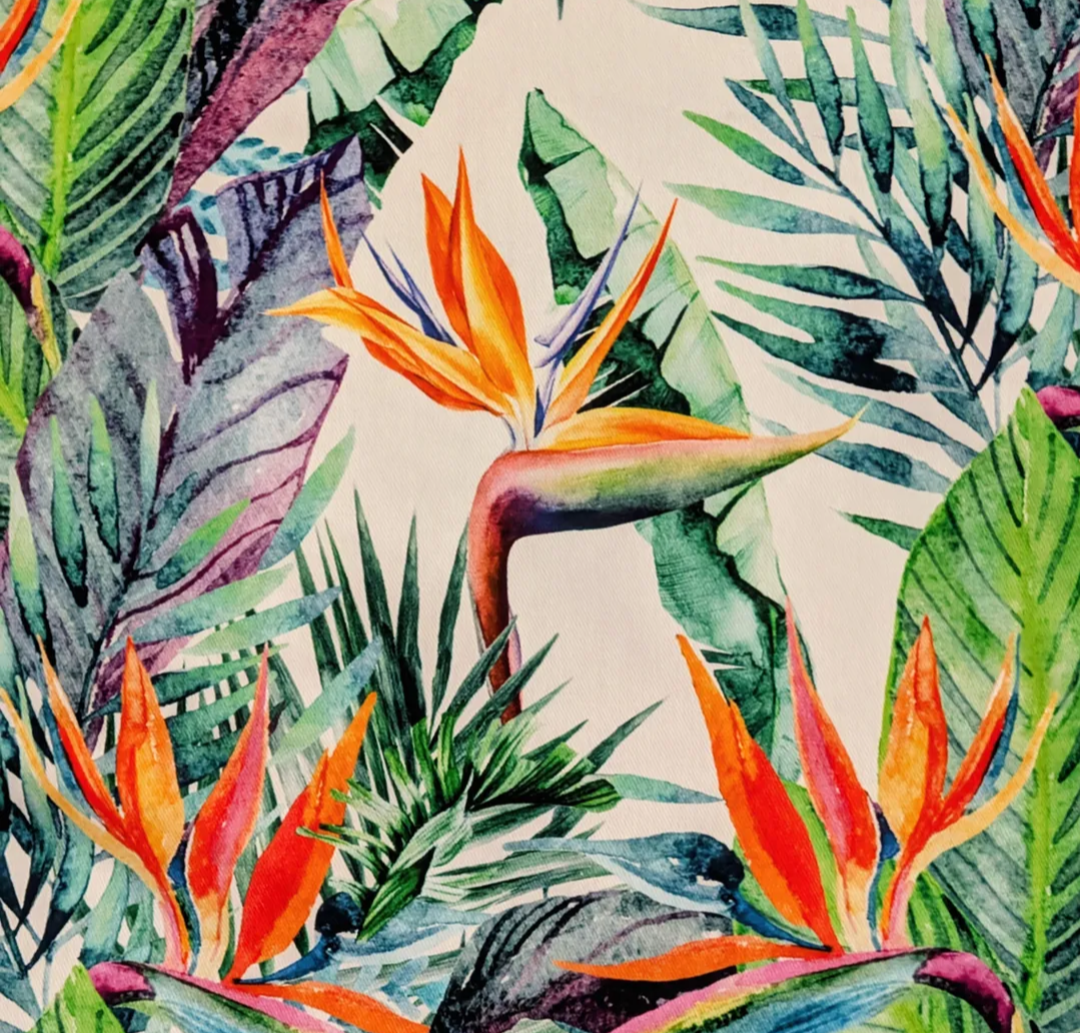 RUN TO PARADISE-MEDIUM/ROBINHOOD