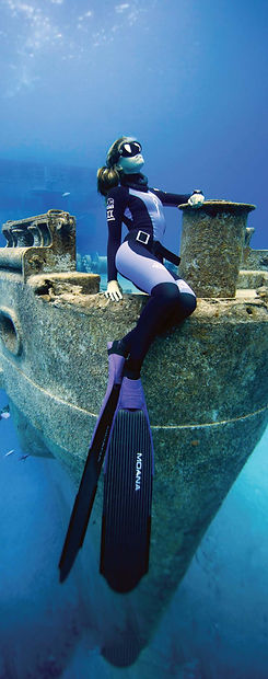pfi_freediver_sm_covers_spine_v0819.jpg