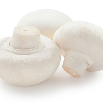 Closed cup white dl.jpg