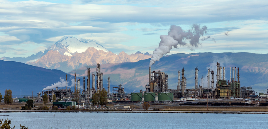 Wildrose Safety #3.png