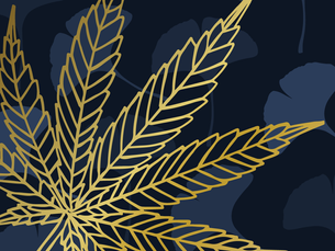 Cannabis Proves Promising Sources of Flavonoids