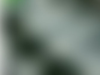 Yarrci Sticker in Progress