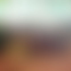 BOGOR MERAPAT BERSAMA YARRCI