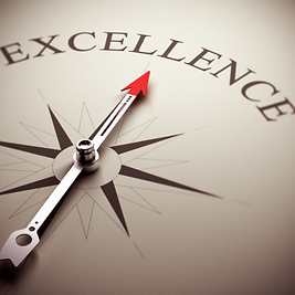 EXCELLENCE.png