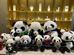 Stereotypes, Prejudices and Assumptions: get to know the real China for yourself!