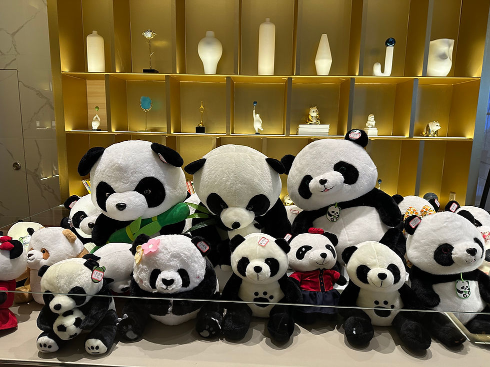 Stereotypes, Prejudices and Assumptions: get to know the real China for yourself!