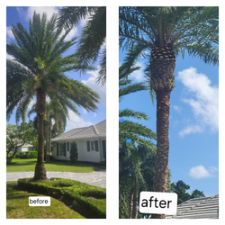 collagemaker.photoeditor.pic.grid.effect_2025723204459487