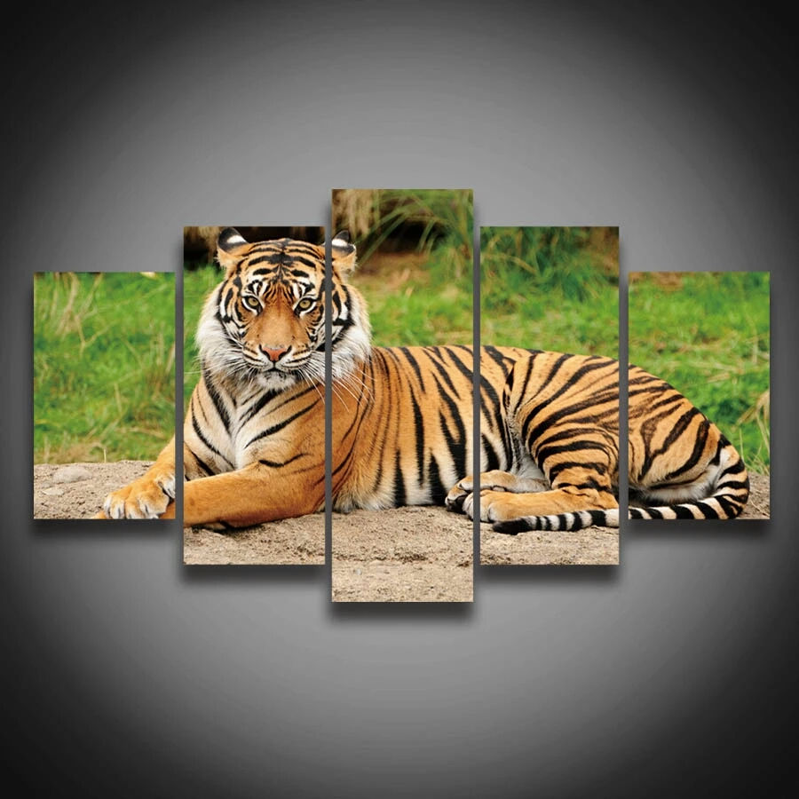 Thumbnail: Framed Lion Canvas Sets && More 
