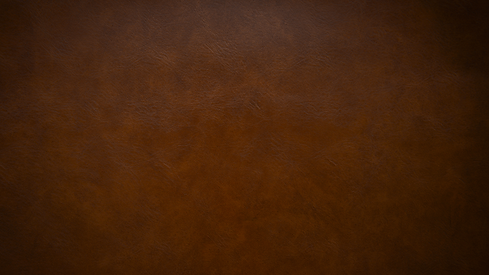 Apresentação Francine Trojahn.png