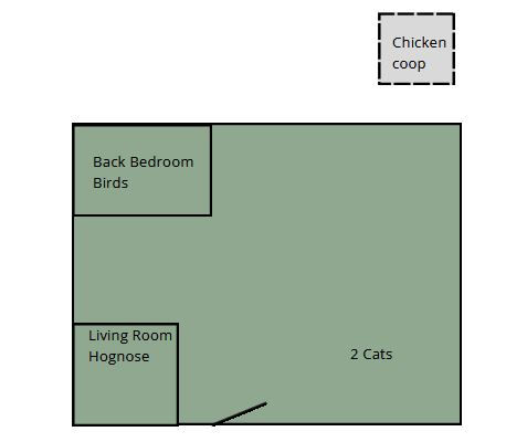 map.JPG