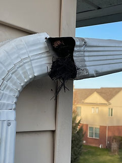 clogged downspout