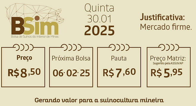 Captura de tela 2025-03-12 091902.png