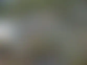 Intersectionality & Climate Change