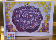 Red Cabbage - Blank Card.jpg
