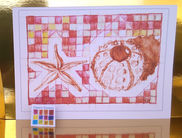 Starfish and Anemone.jpg