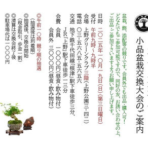 小品盆栽交換大会のご案内