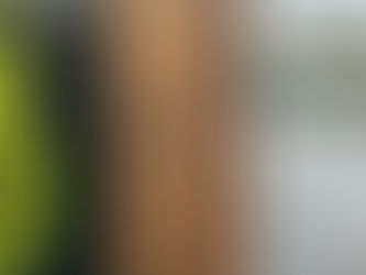 【仙台支部】三浦清松園の春の小品盆栽展へ!