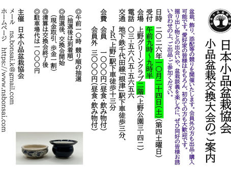 10月24日(土)「小品盆栽交換大会」を開催します