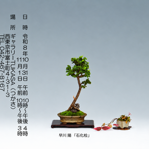 【武蔵野北支部】10月31日・11月1日「小品盆栽展」を開催します