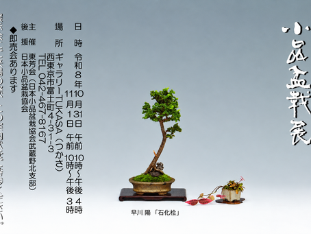 【武蔵野北支部】10月31日・11月1日「小品盆栽展」を開催します